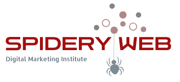 Spidery Web Institute logo